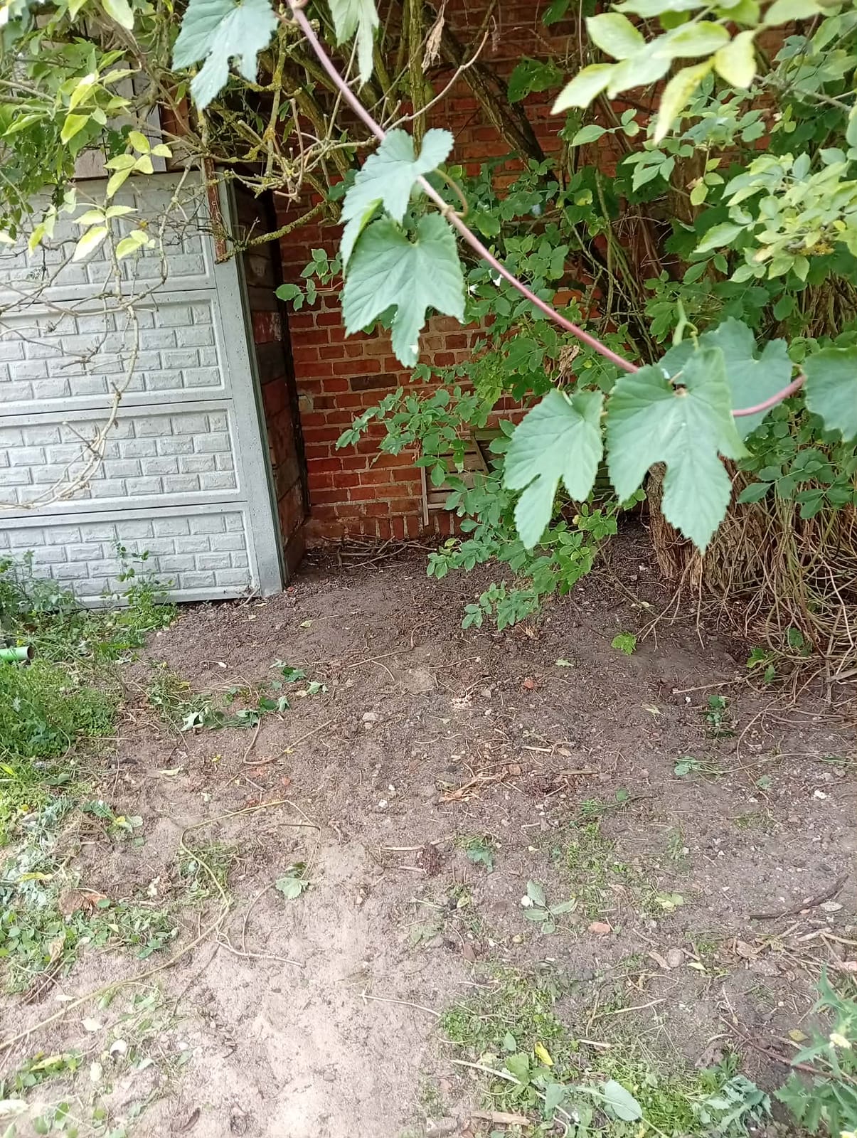 Po wykonaniu zlecenia — Usunięcie zalegającego gruzu i innych rzeczy z terenu.