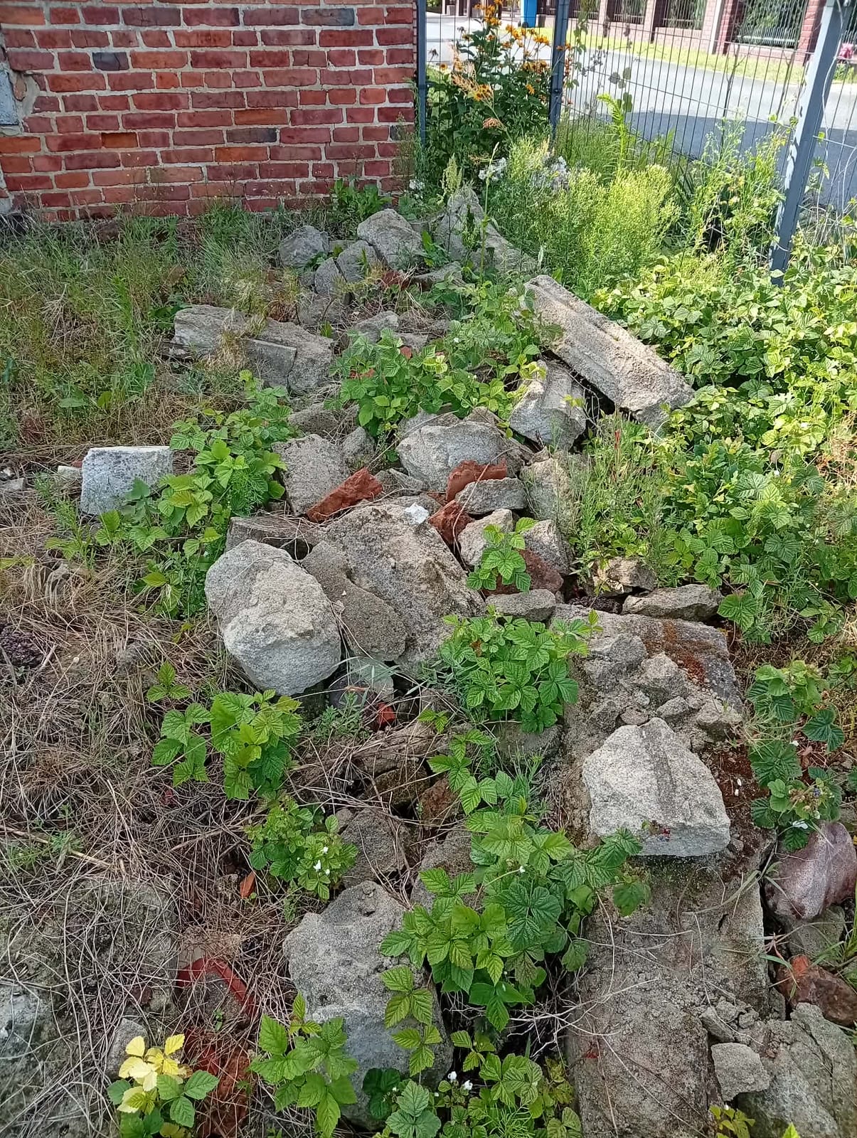 Przed wykonaniem zlecenia — Usunięcie zalegającego gruzu i innych rzeczy z terenu.